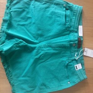 Judy Blue Teal Shorts